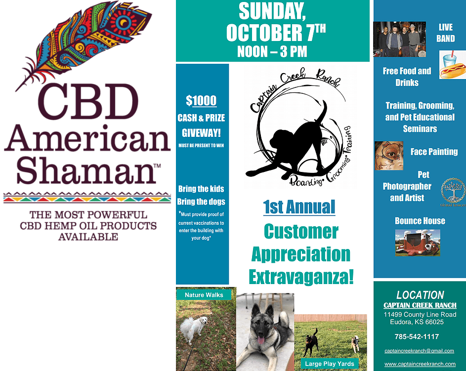 CBDcc Local News Source press release about CBD American Shaman