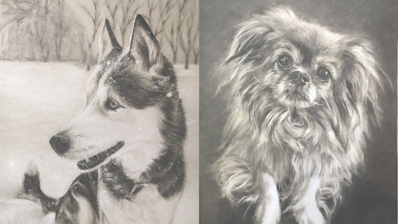 Art and ash … a unique expression of love for your pet